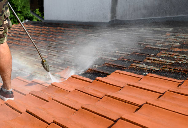 Best Local Pressure Washing Services  in Laurel, MT